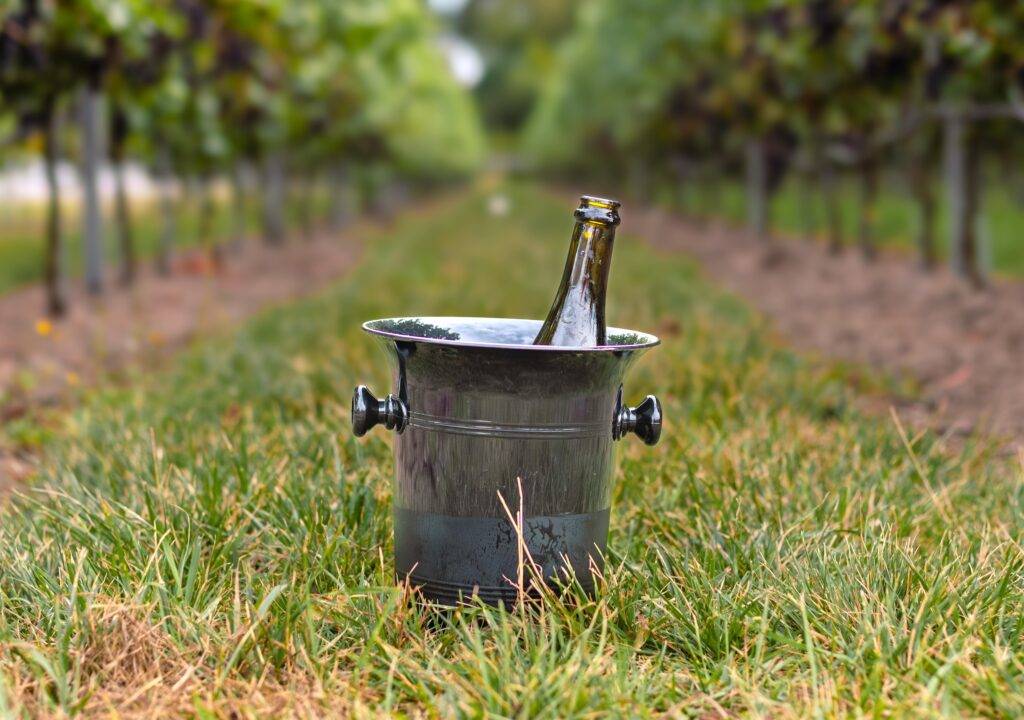 Sugrue South Downs | Award-Winning English Wines